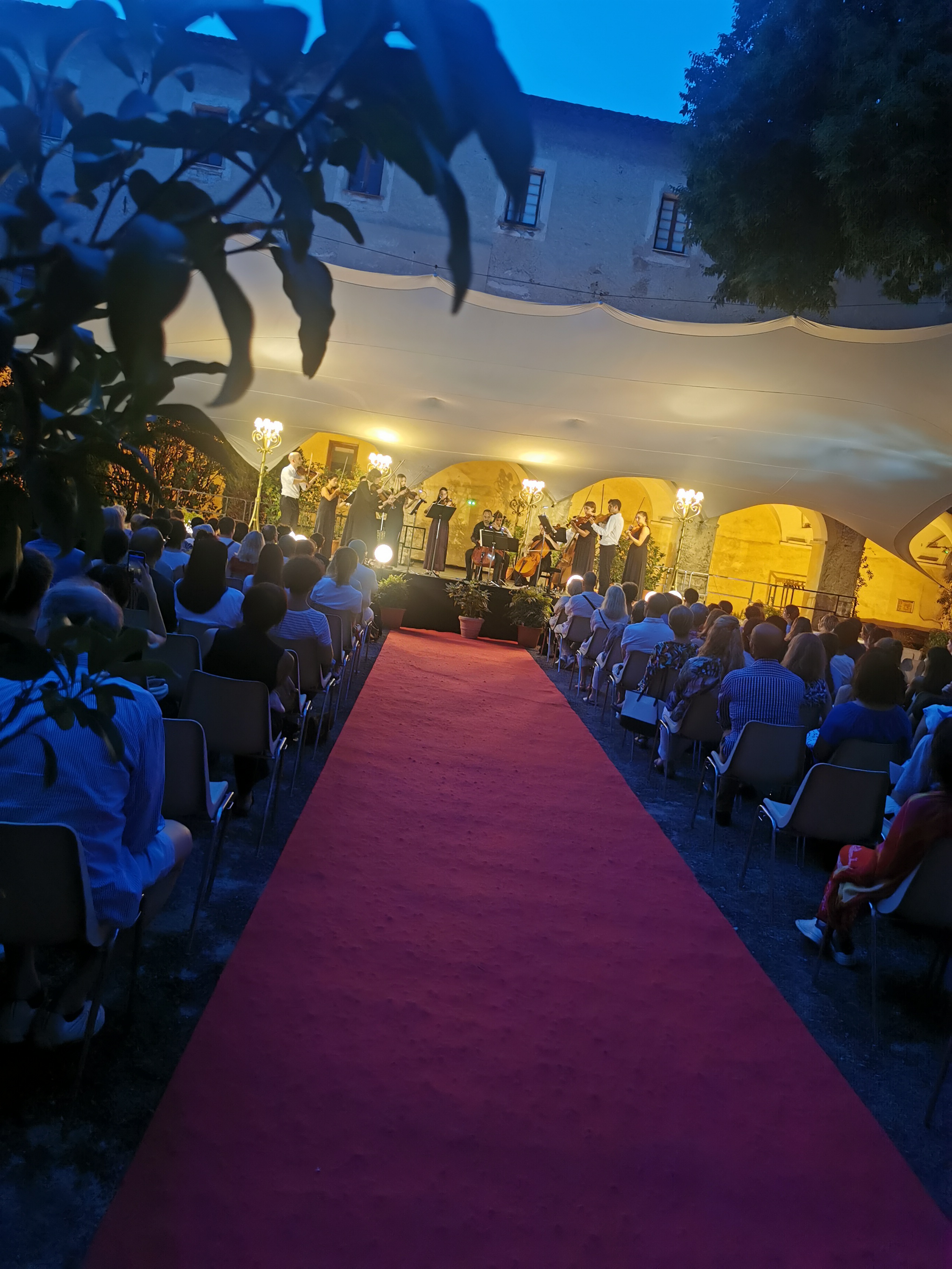 SCENE CLOITRE TAPIS VIOLET IMG_20240726_212455.jpg
